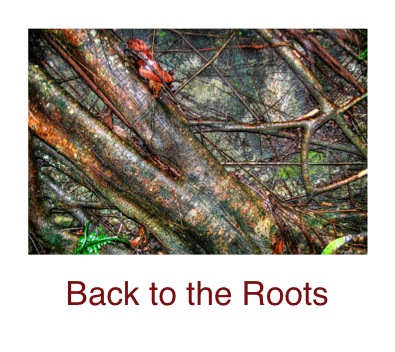 back-roots