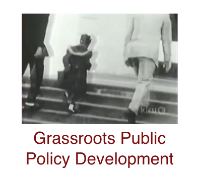 grassroots-public-policy-development