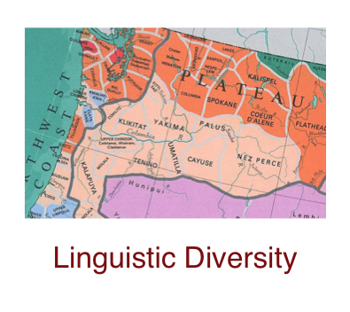 linguistic-diversity